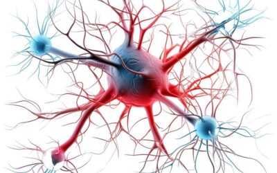TON CORPS NE SE TRANSFORME PAS EN ETAT D’ALERTE